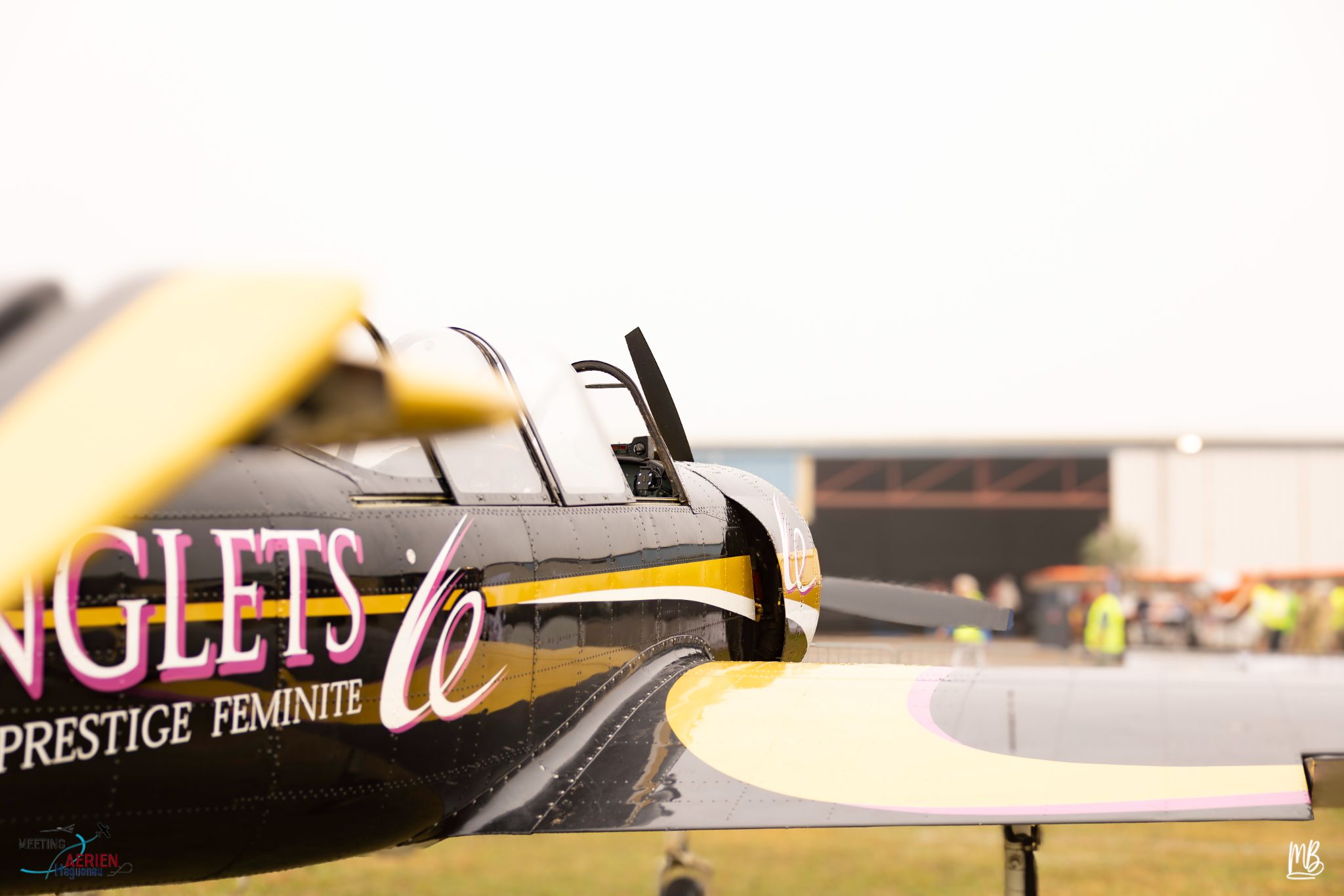 Meeting Aérien 2024MB 28